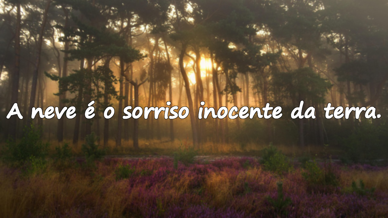 Frases sobre a Neve