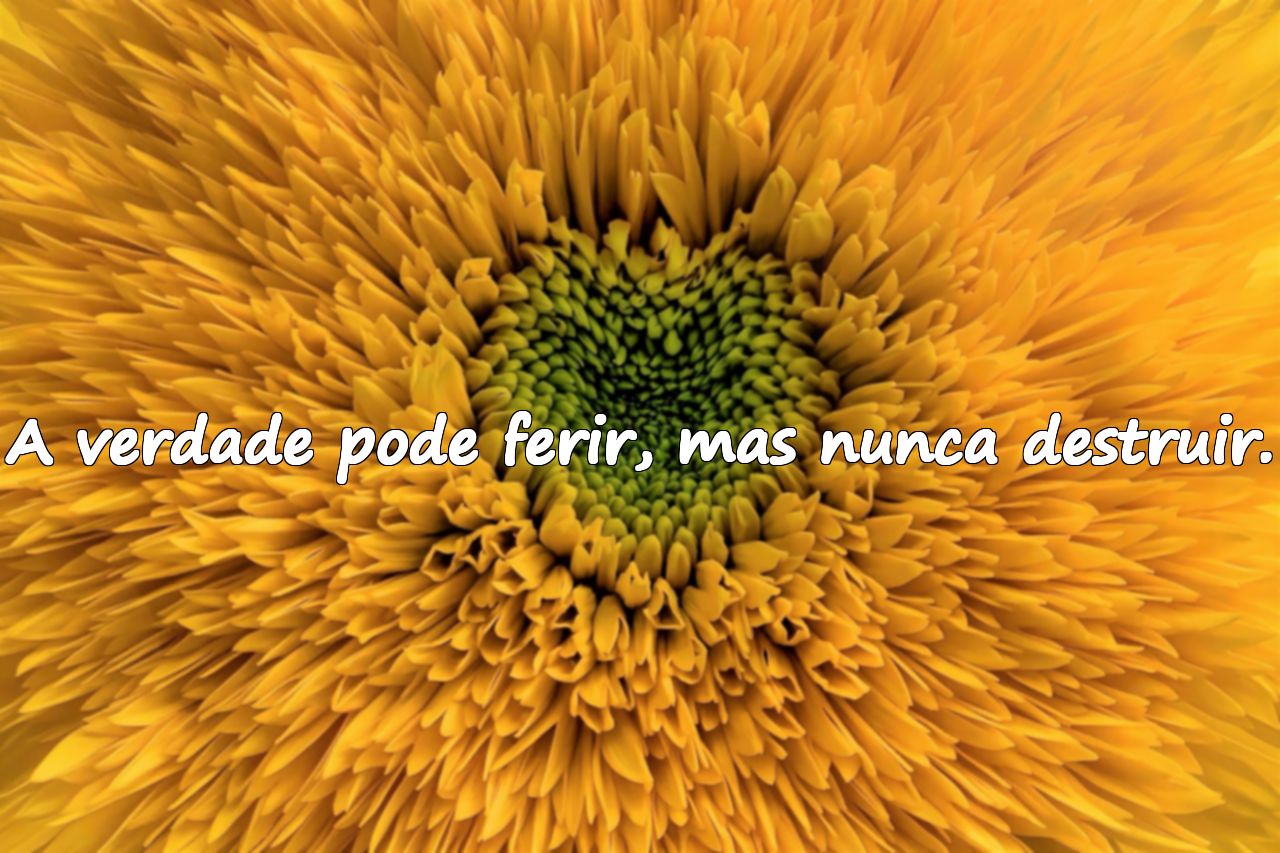 Frases sobre a verdade