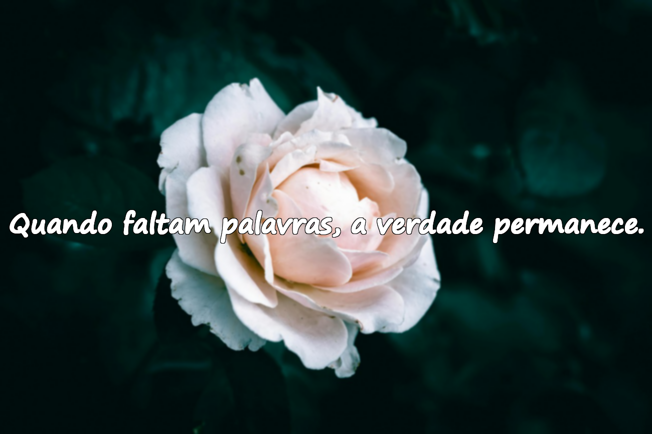 Frases sobre a verdade