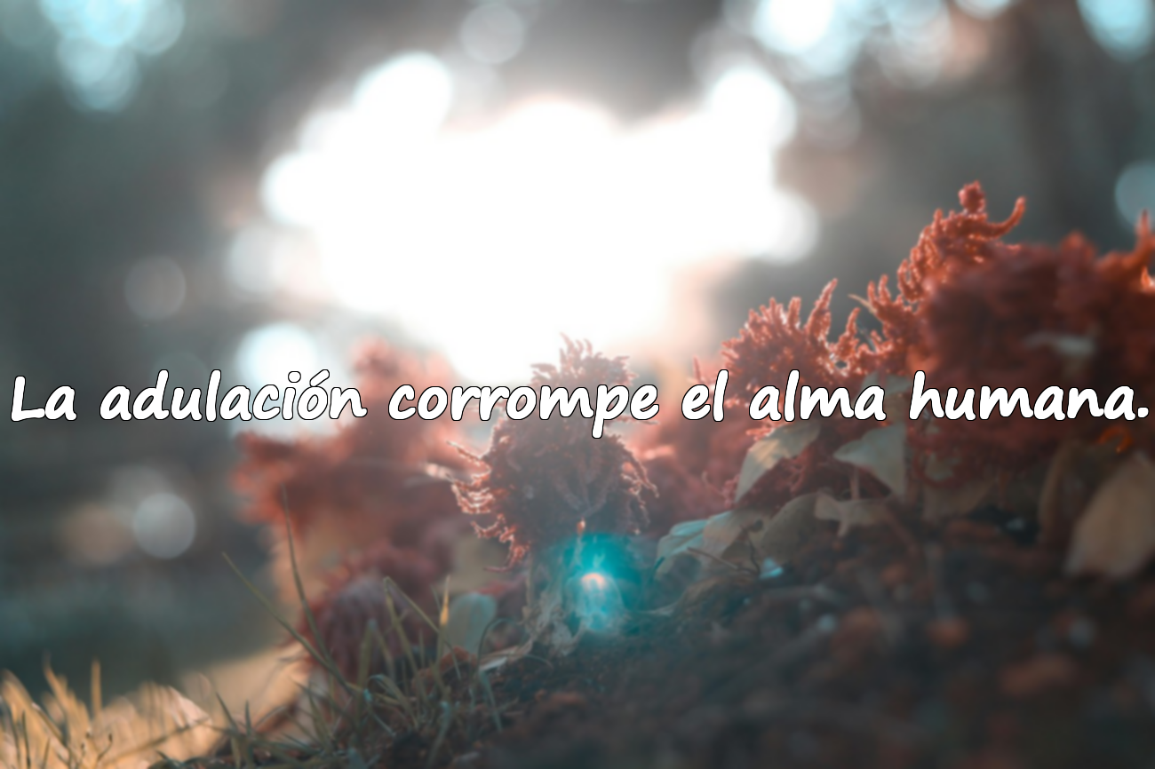 Frases sobre aduladores