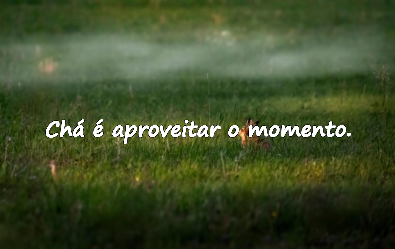 Chá é aproveitar o momento.