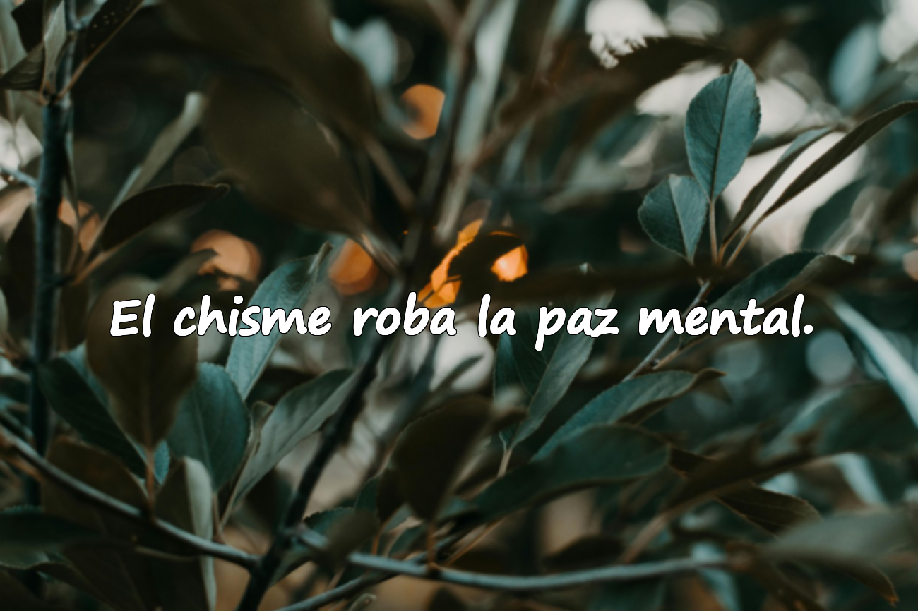 El chisme roba la paz mental.