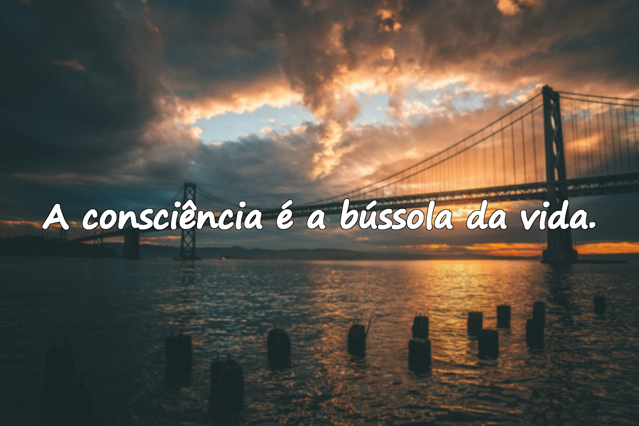 Frases sobre consciência