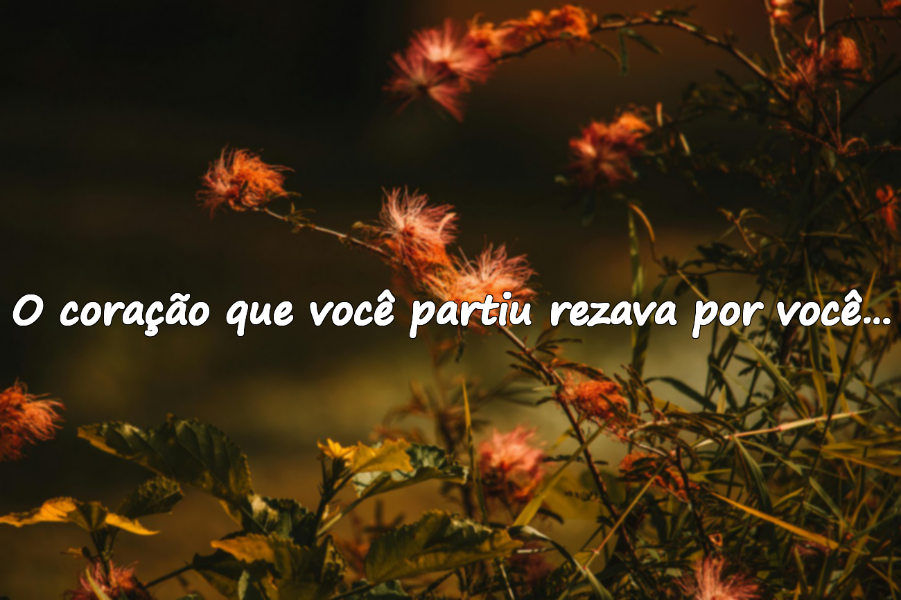Frases sobre corações partidos