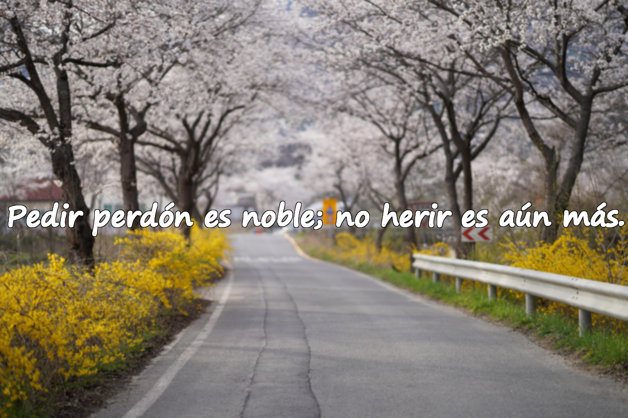 Pedir perdón es noble; no herir es aún más.