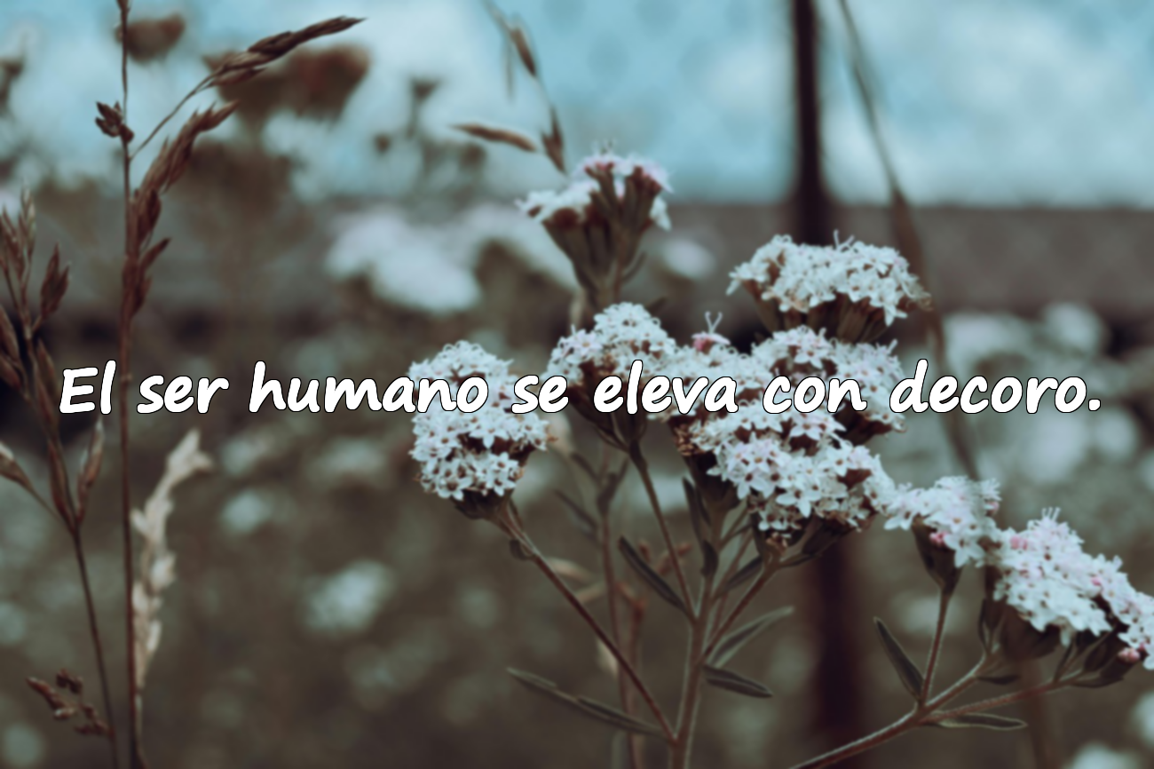 El ser humano se eleva con decoro.