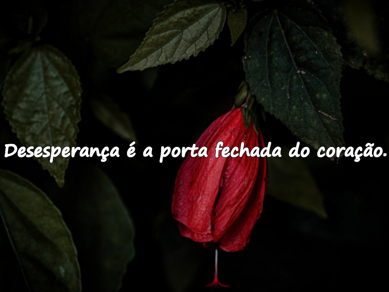 Frases sobre desesperança