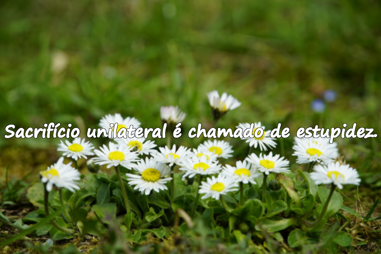Frases sobre egoísmo