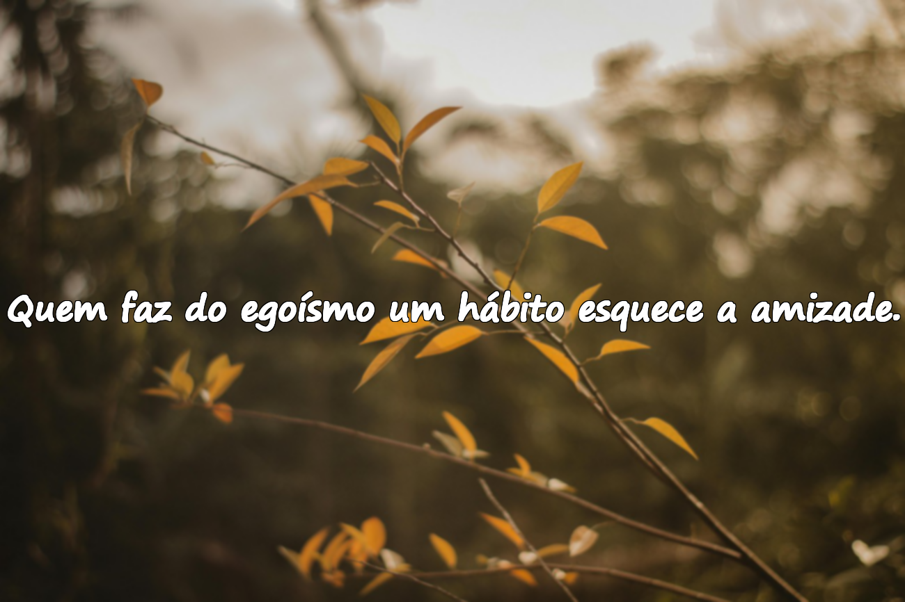 Frases sobre egoísmo
