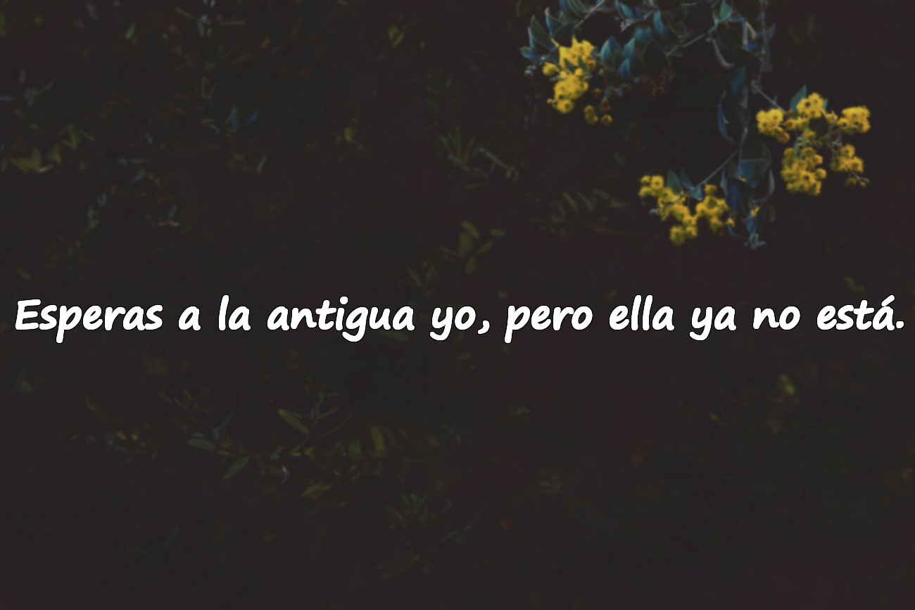 Esperas a la antigua yo, pero ella ya no está.