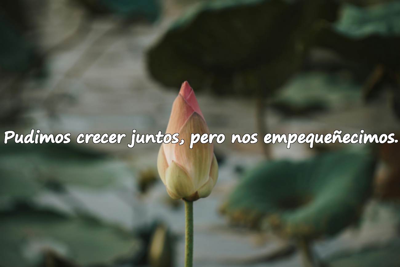 Pudimos crecer juntos, pero nos empequeñecimos.