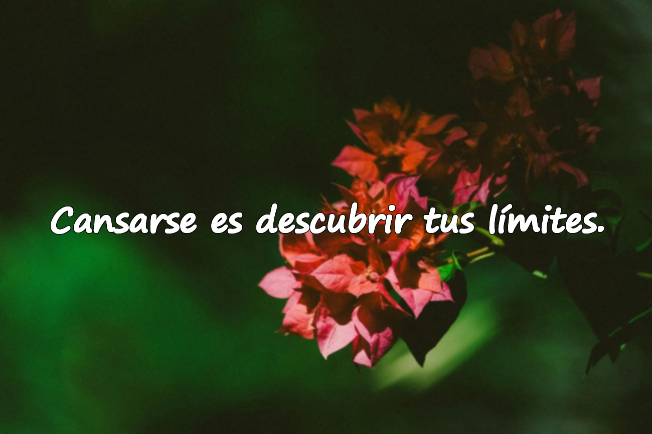 Cansarse es descubrir tus límites.