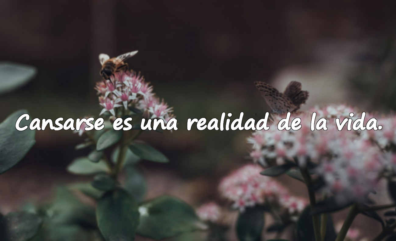 Cansarse es una realidad de la vida.