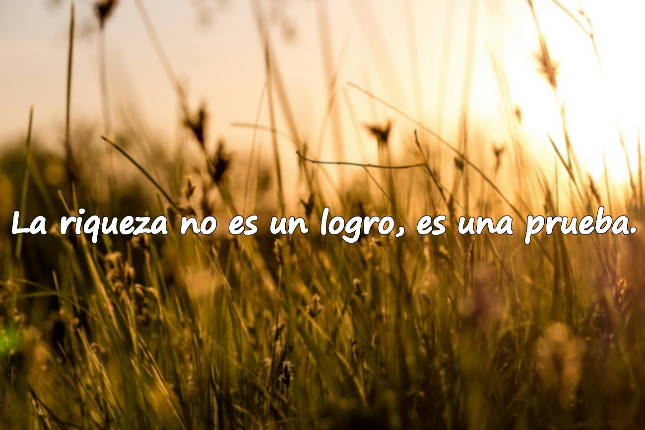 Frases sobre el Dinero