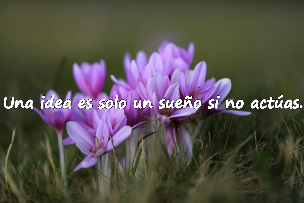 Una idea es solo un sueño si no actúas.