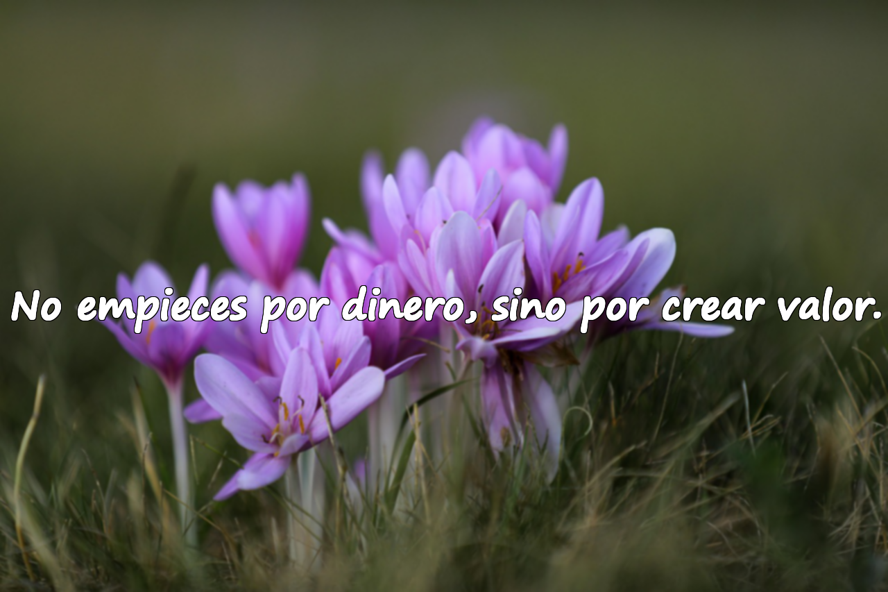 No empieces por dinero, sino por crear valor.