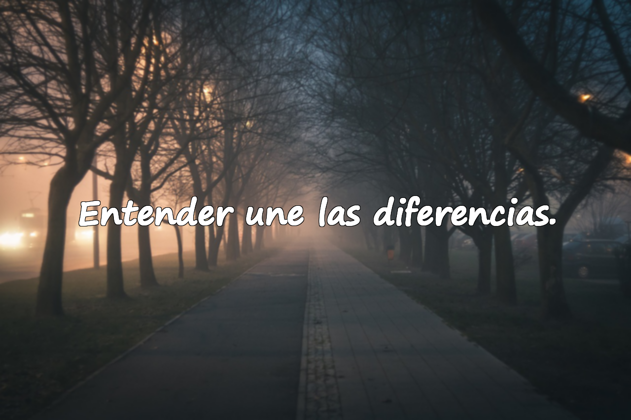 Frases sobre el Entendimiento
