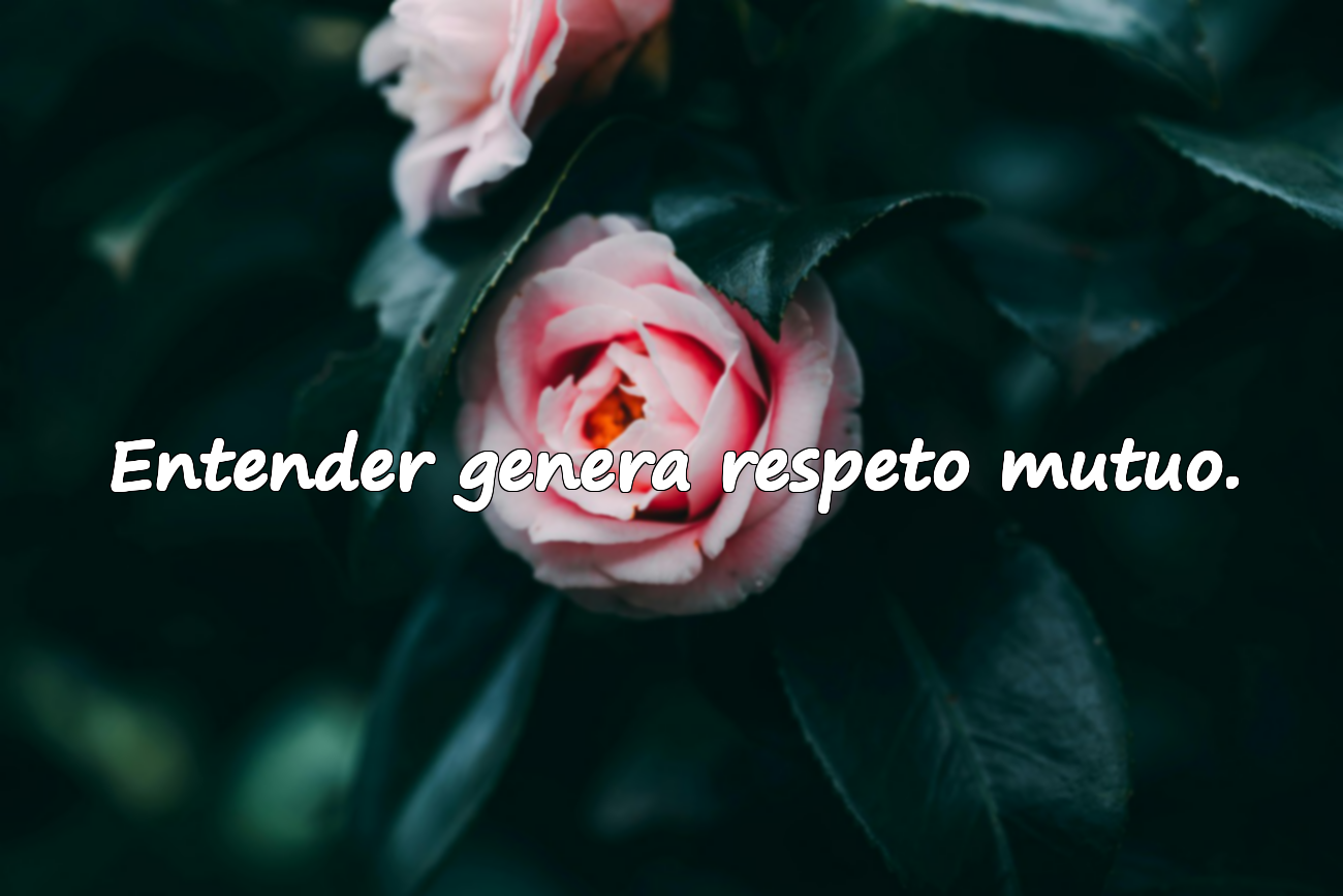 Frases sobre el Entendimiento