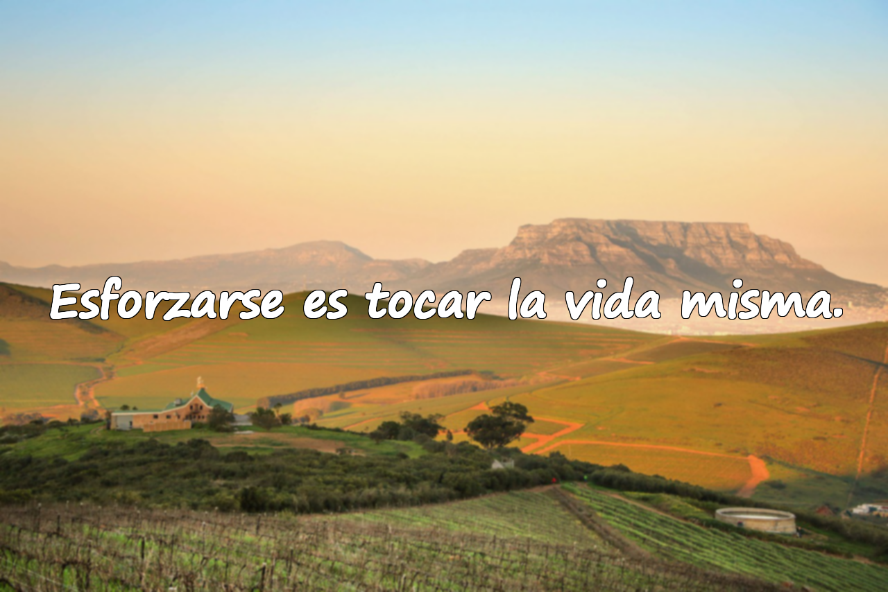 Esforzarse es tocar la vida misma.