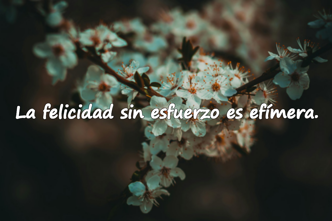 La felicidad sin esfuerzo es efímera.