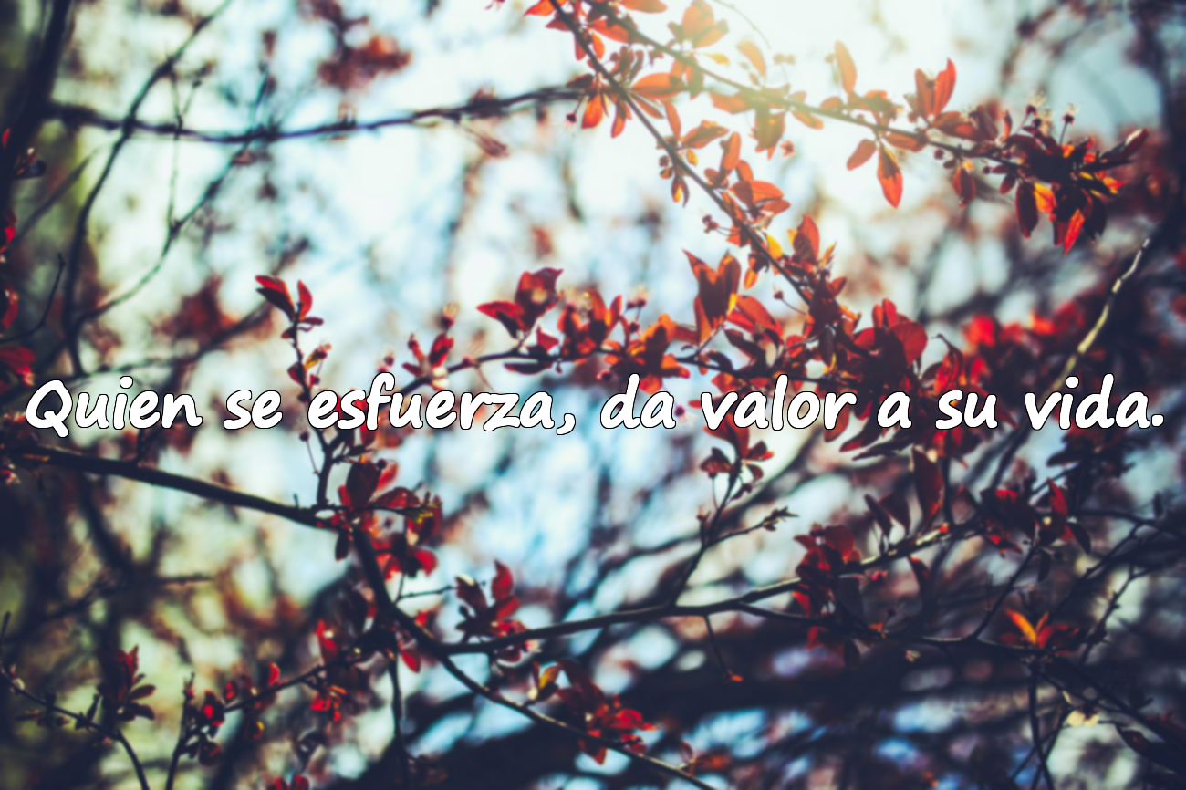 Quien se esfuerza, da valor a su vida.