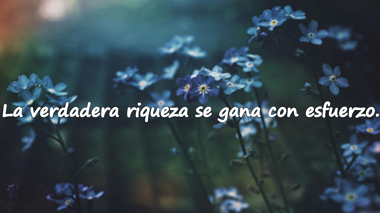 La verdadera riqueza se gana con esfuerzo.