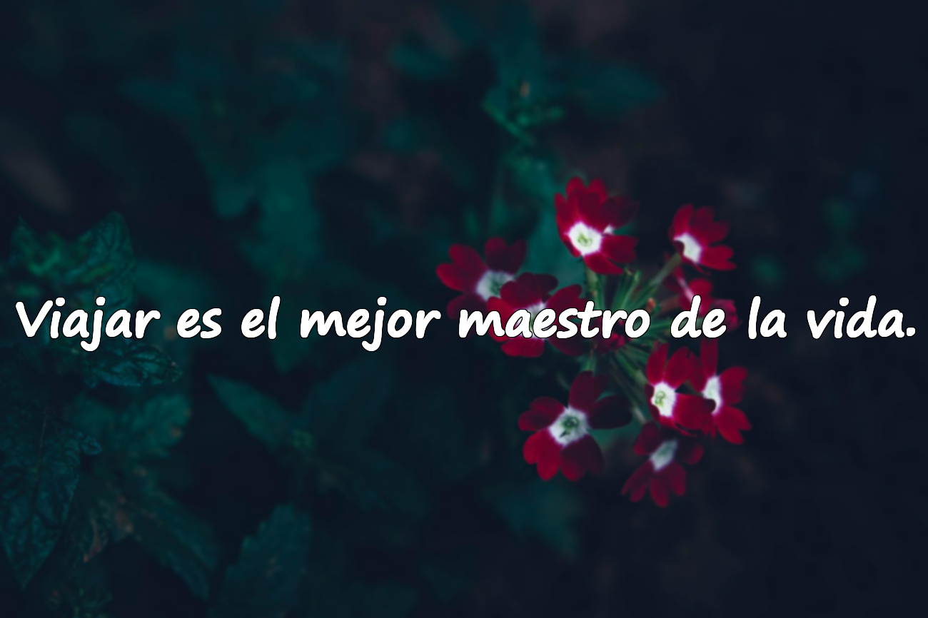 Viajar es el mejor maestro de la vida.