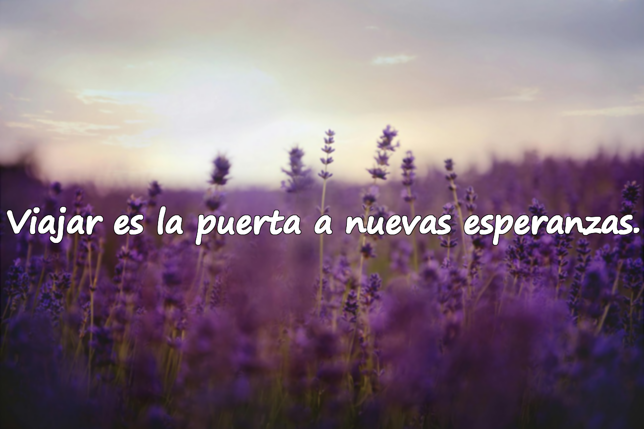 Viajar es la puerta a nuevas esperanzas.