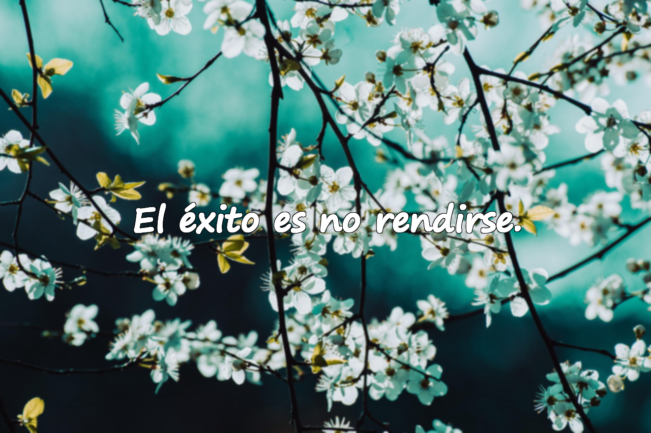 Frases sobre el éxito