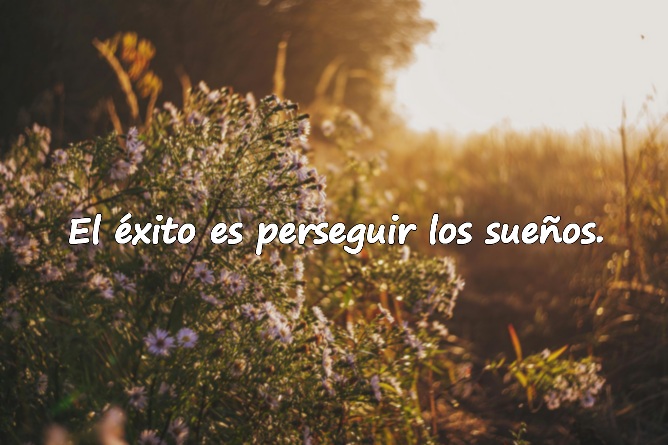 Frases sobre el éxito