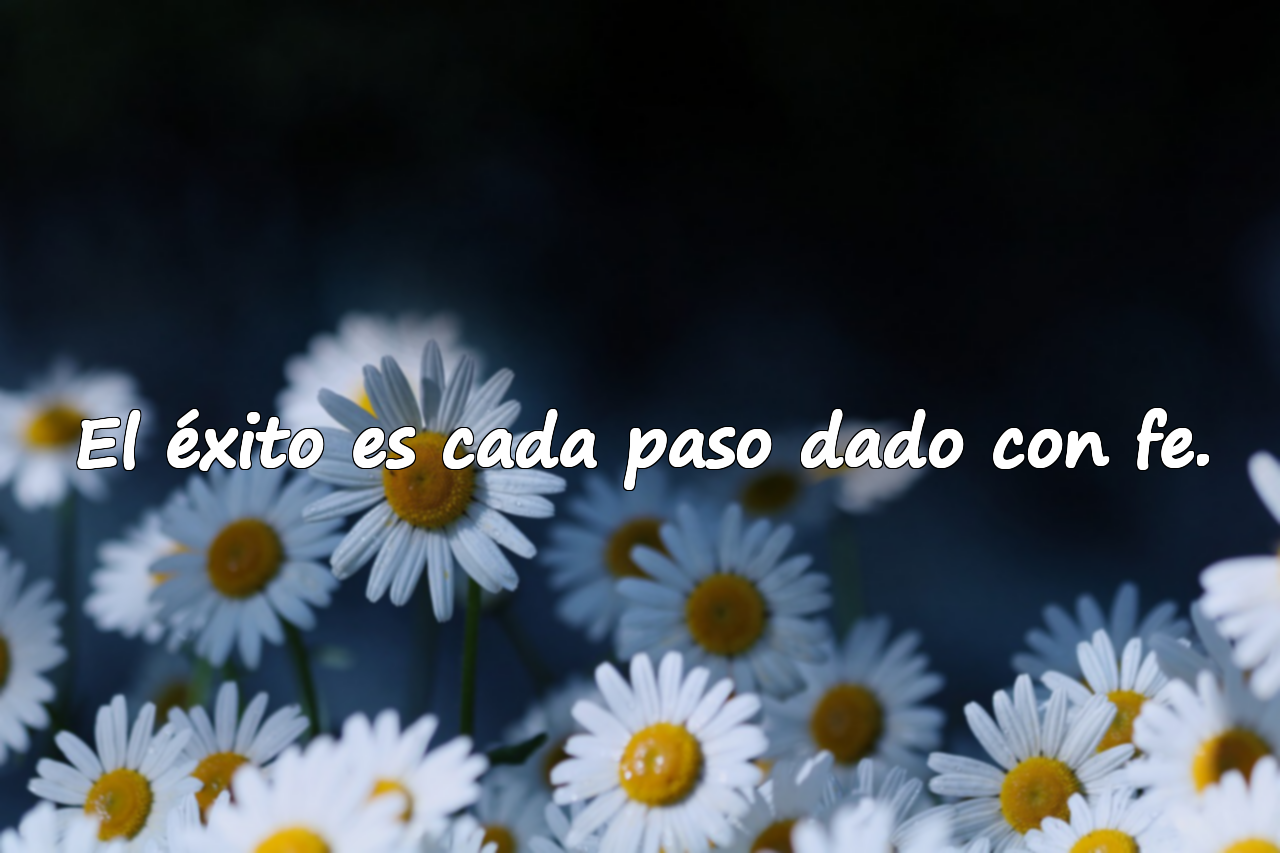 Frases sobre el éxito