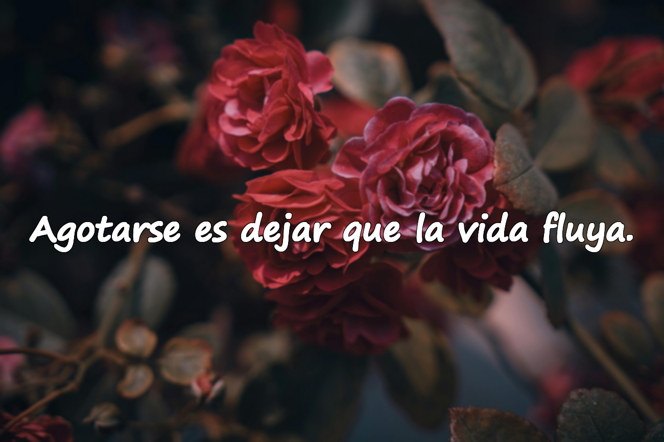 Frases sobre el agotamiento