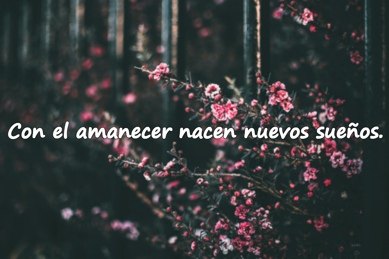 Con el amanecer nacen nuevos sueños.