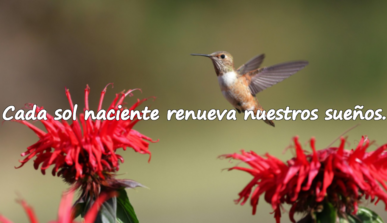 Cada sol naciente renueva nuestros sueños.