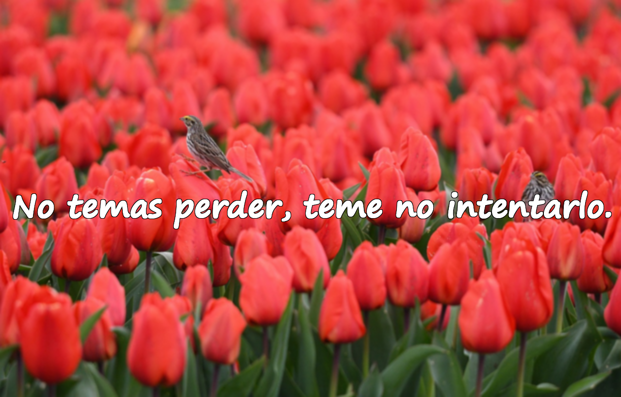 Frases sobre el arrepentimiento