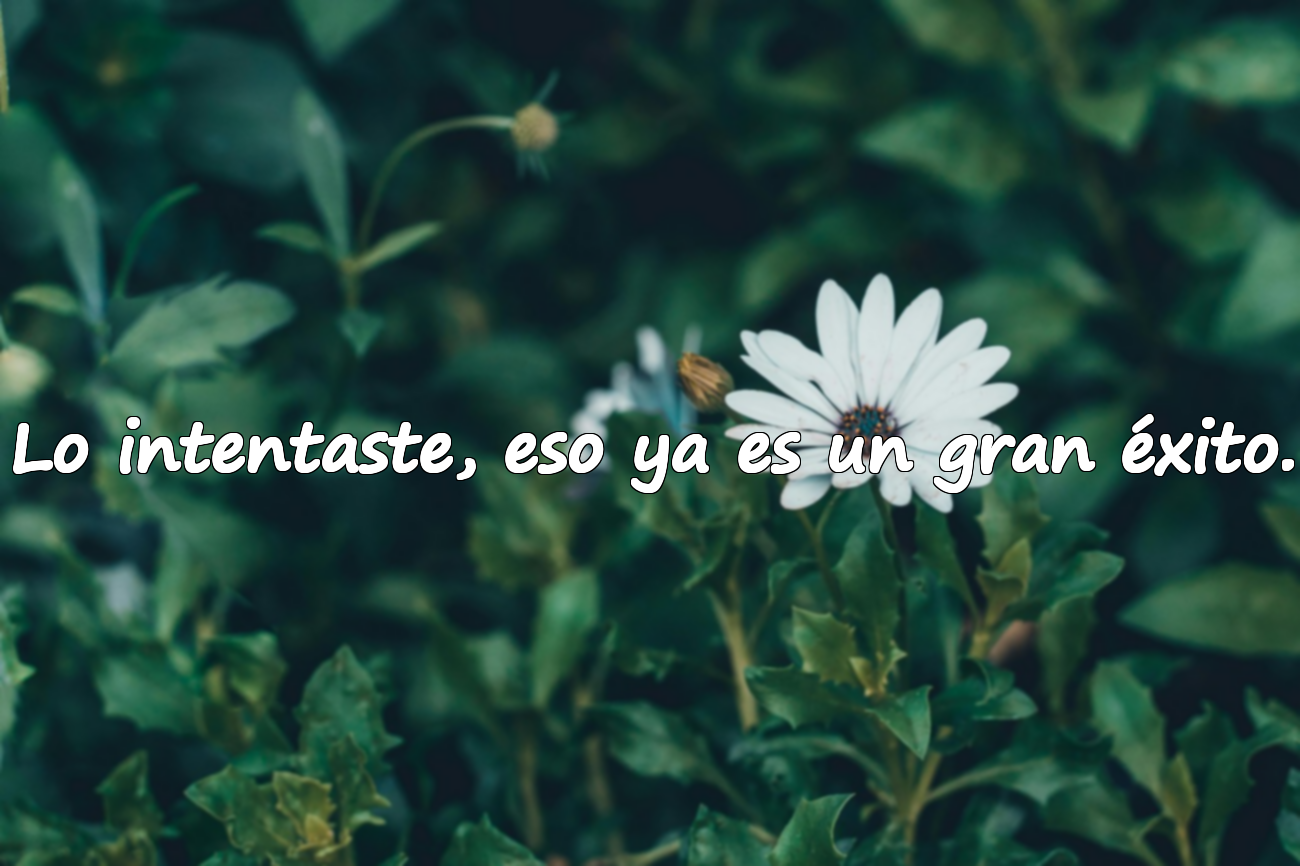 Frases sobre el arrepentimiento