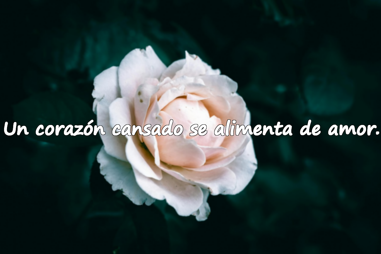 Un corazón cansado se alimenta de amor.