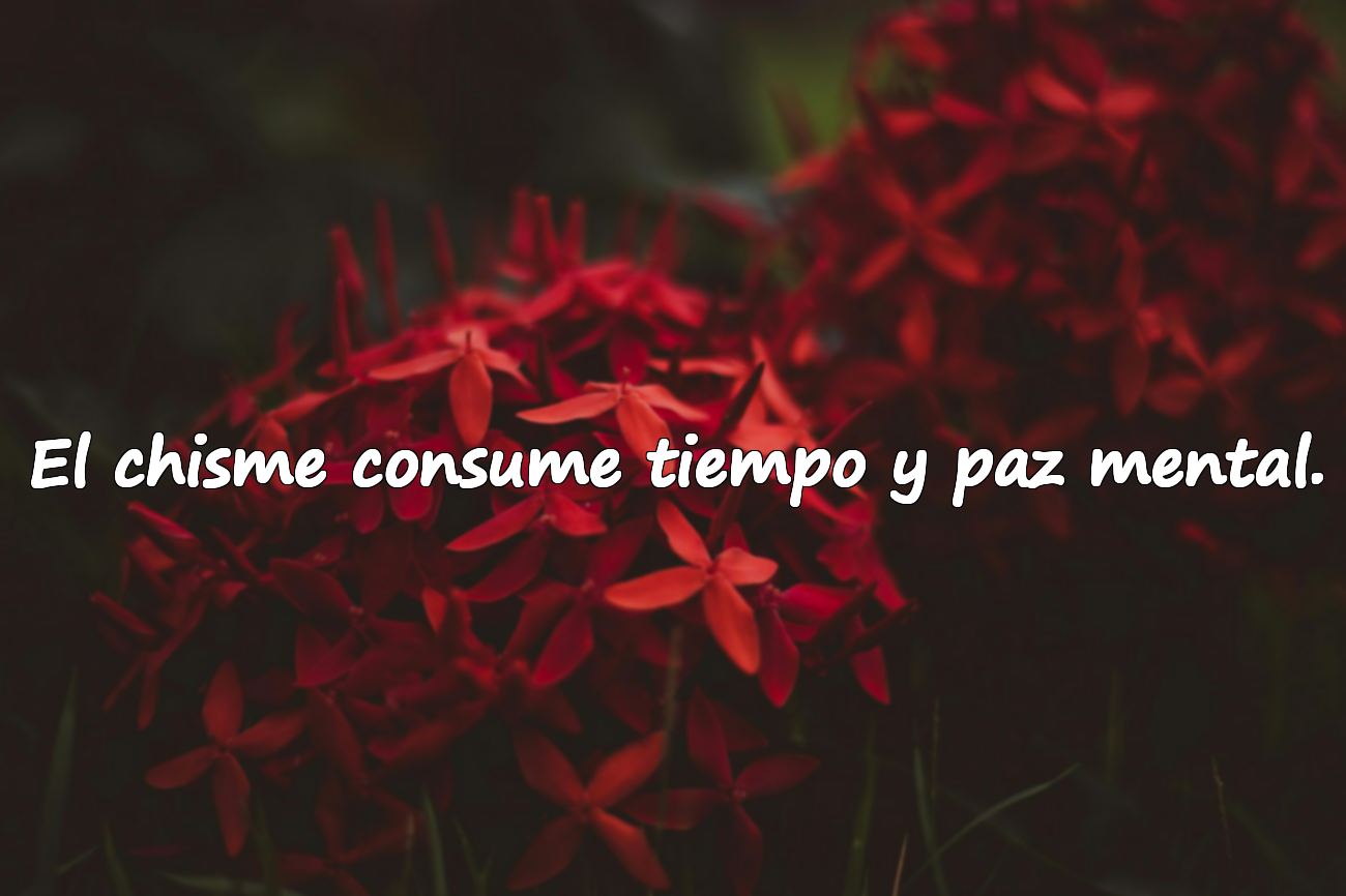 El chisme consume tiempo y paz mental.