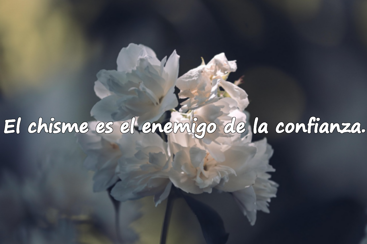 Frases sobre el chisme