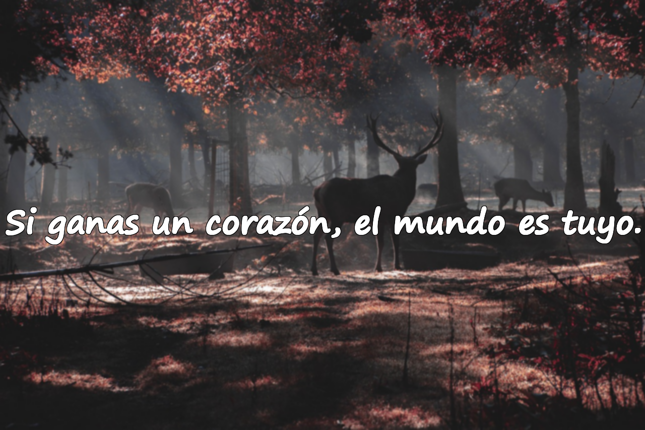 Si ganas un corazón, el mundo es tuyo.