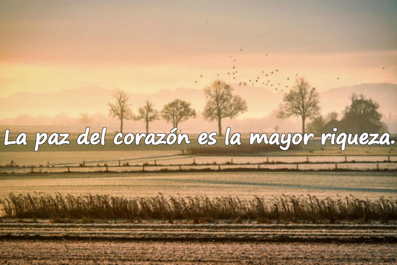 La paz del corazón es la mayor riqueza.