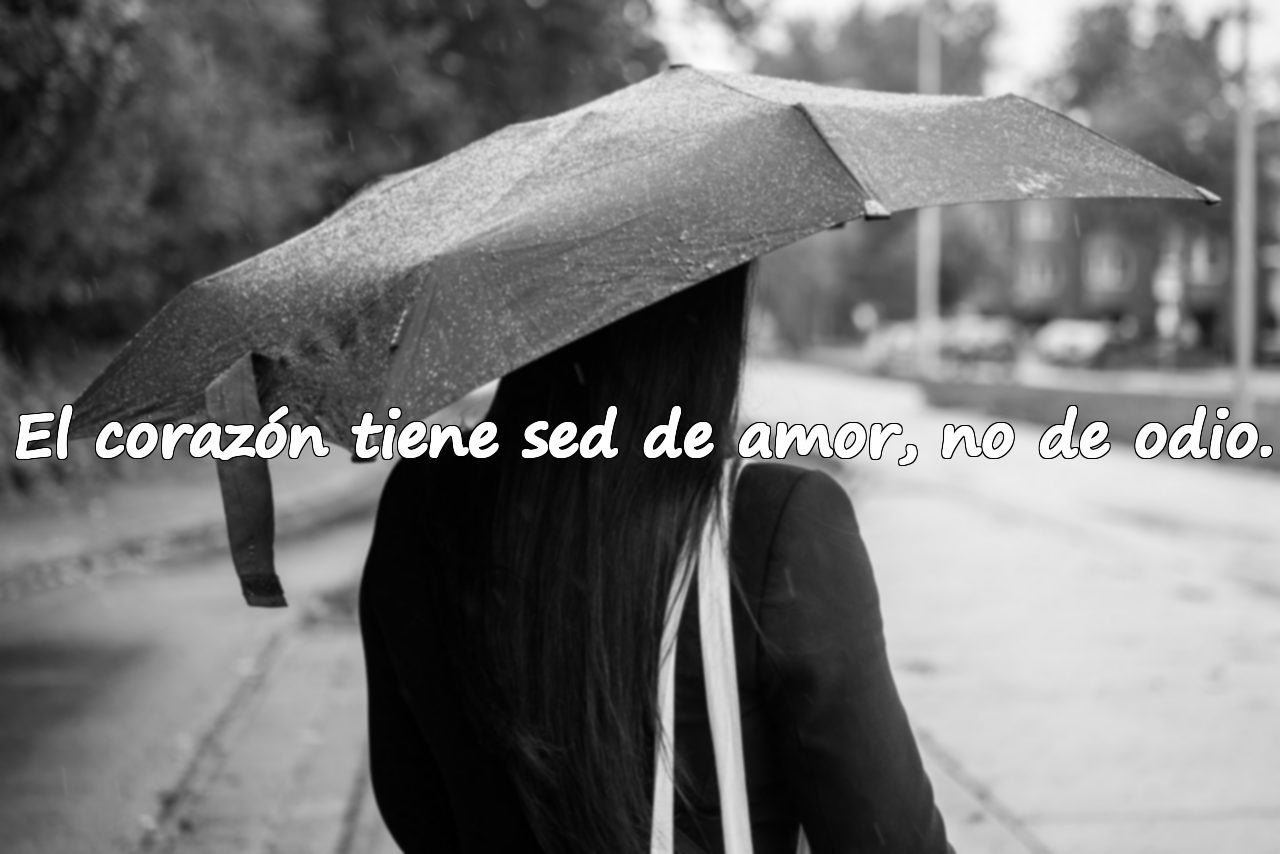El corazón tiene sed de amor, no de odio.