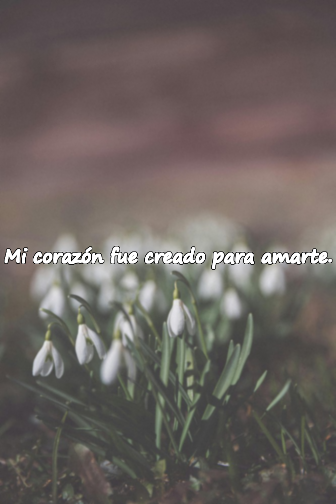 Mi corazón fue creado para amarte.