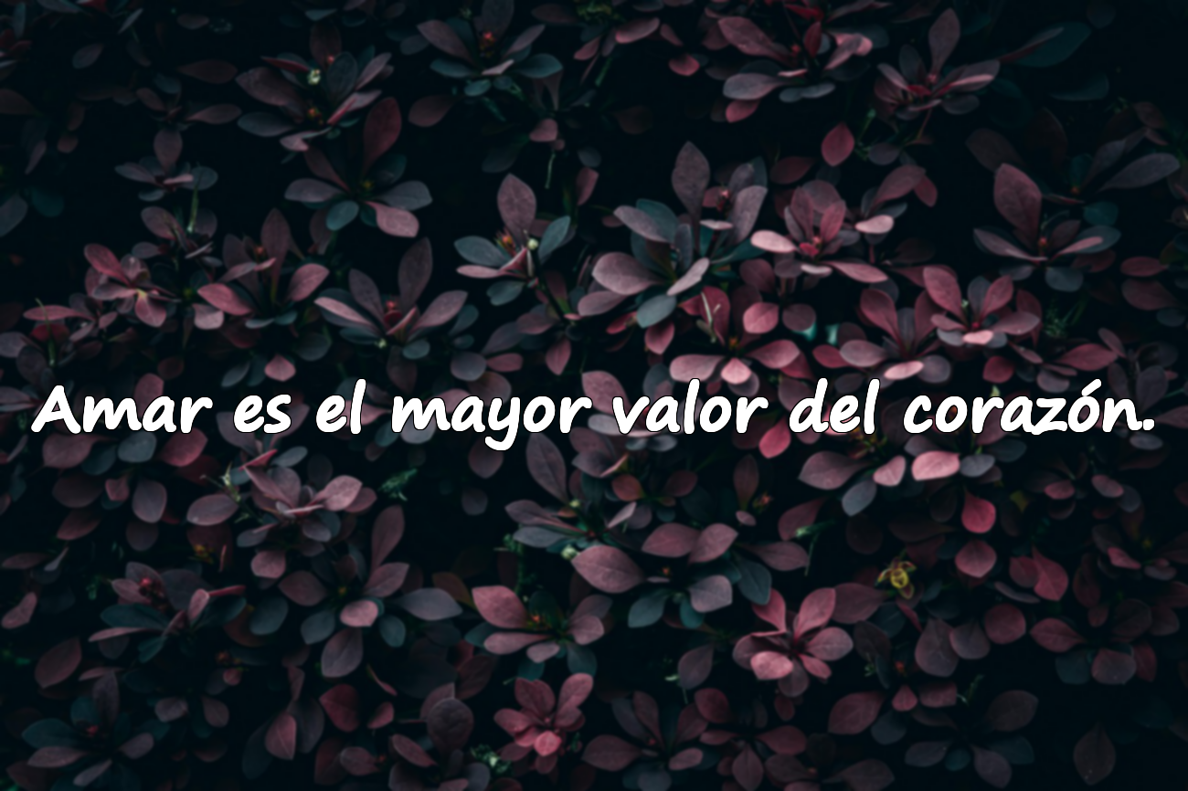 Amar es el mayor valor del corazón.