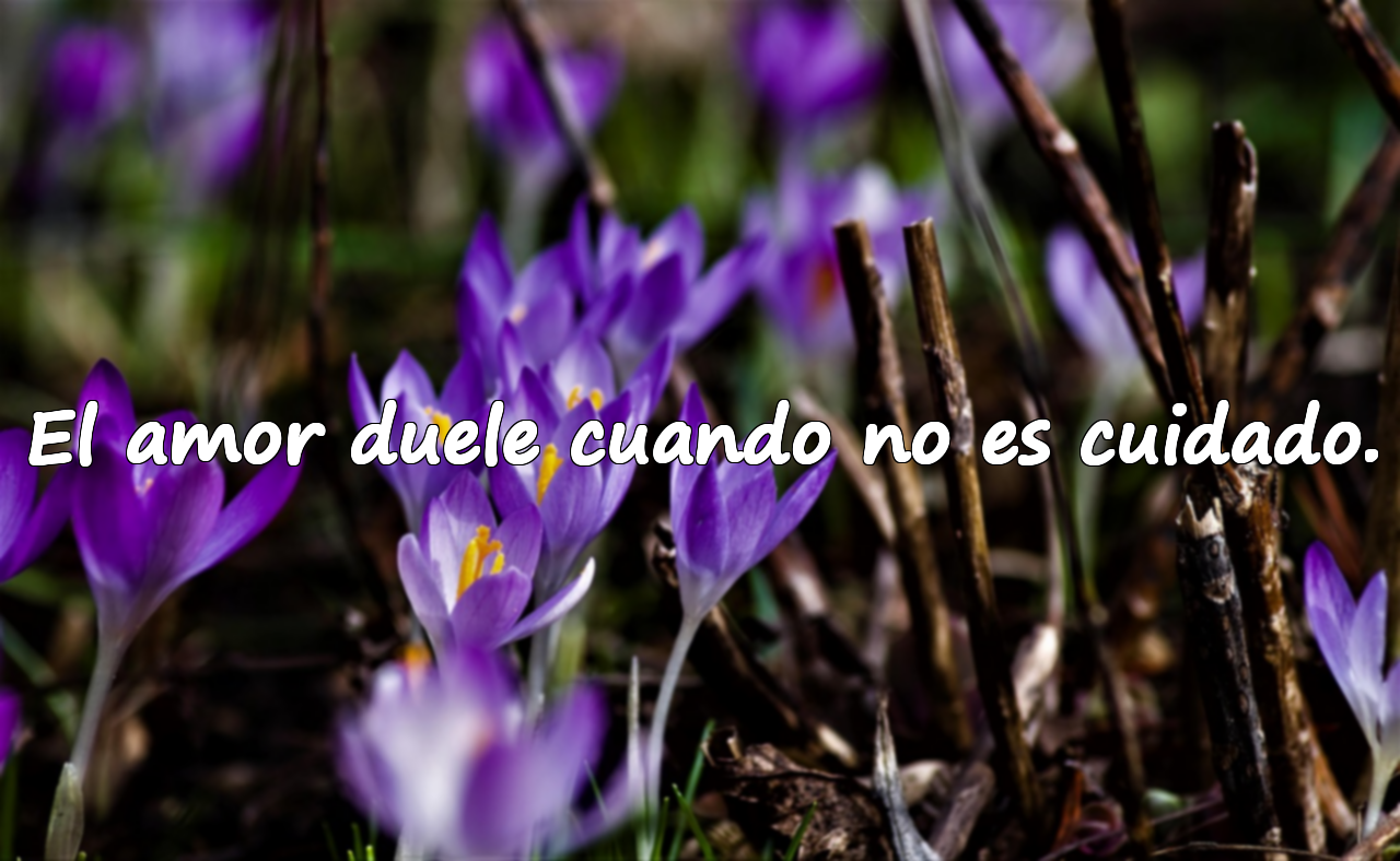Frases sobre el dolor emocional