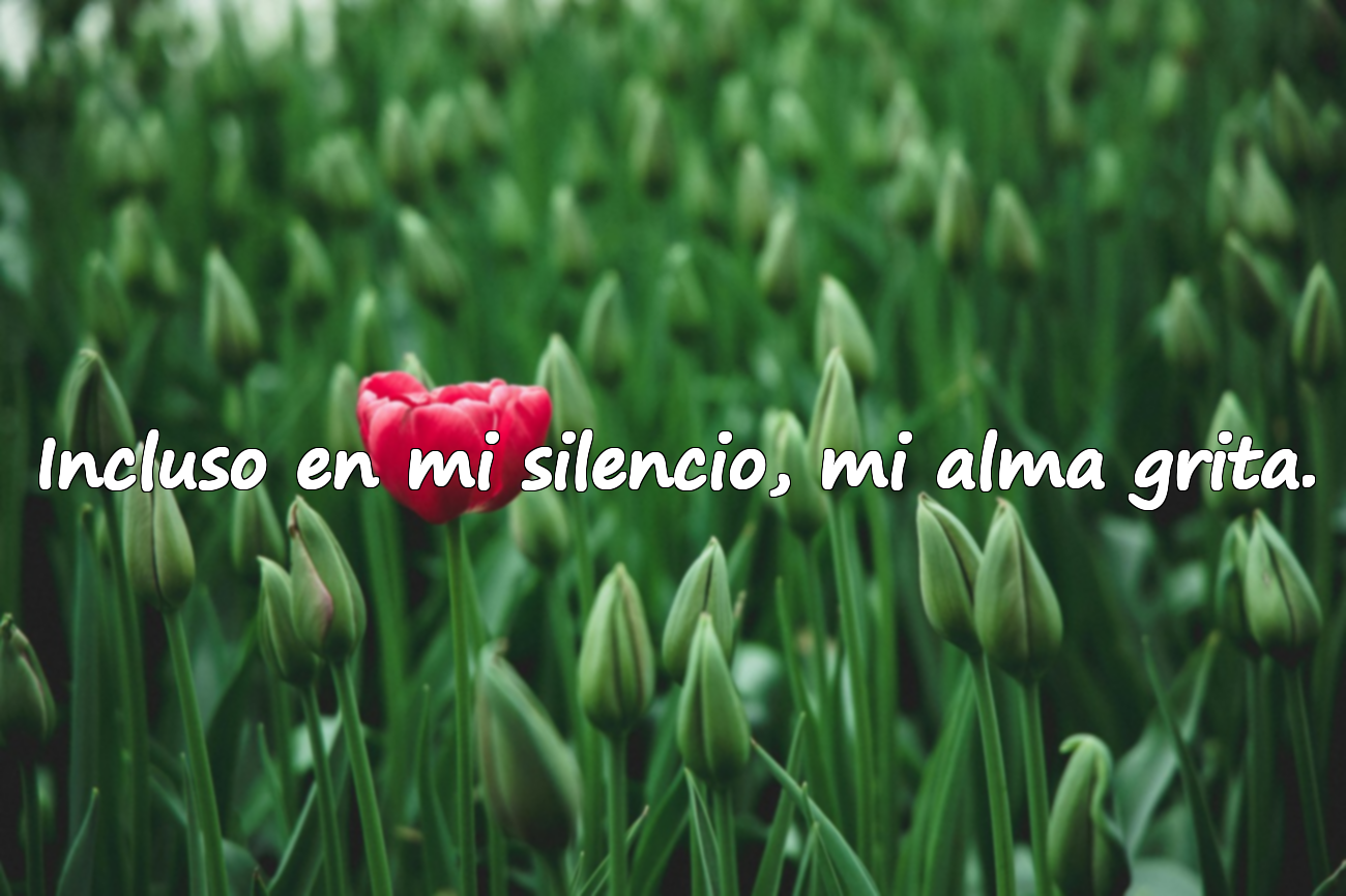 Frases sobre el dolor emocional