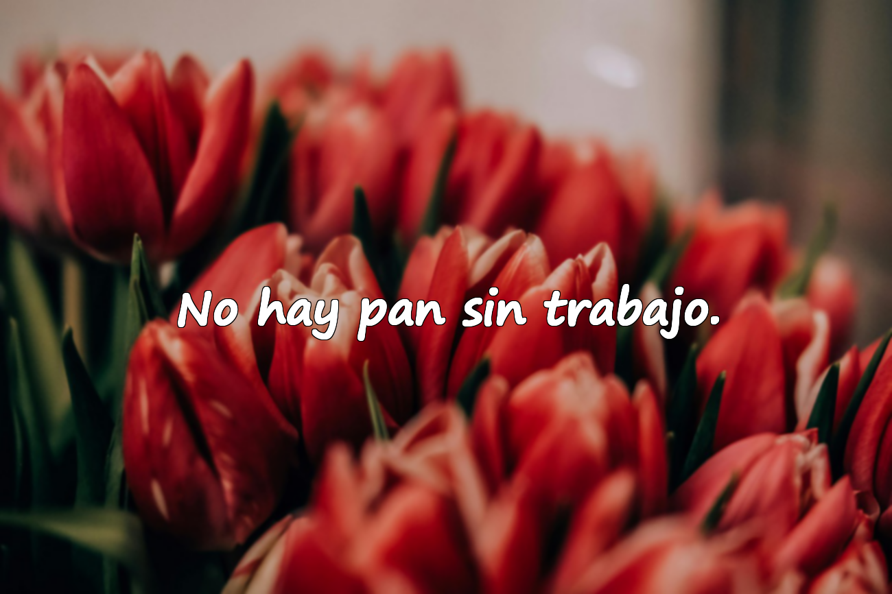 No hay pan sin trabajo.