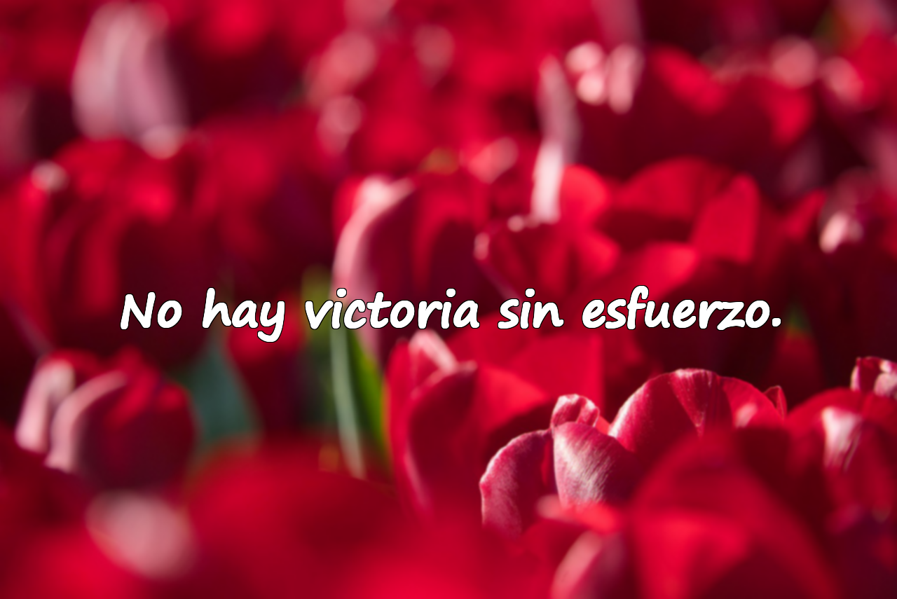No hay victoria sin esfuerzo.
