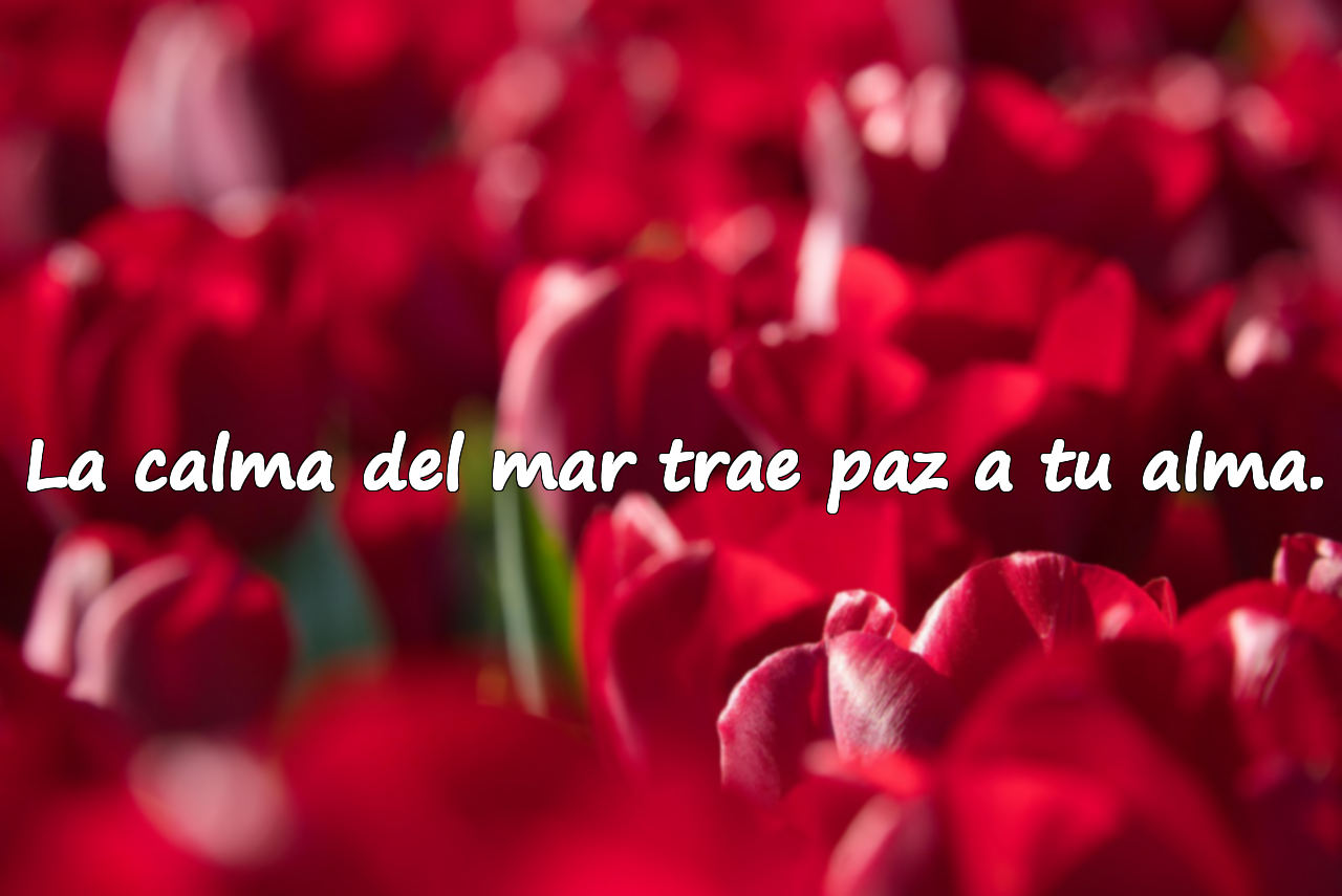 La calma del mar trae paz a tu alma.