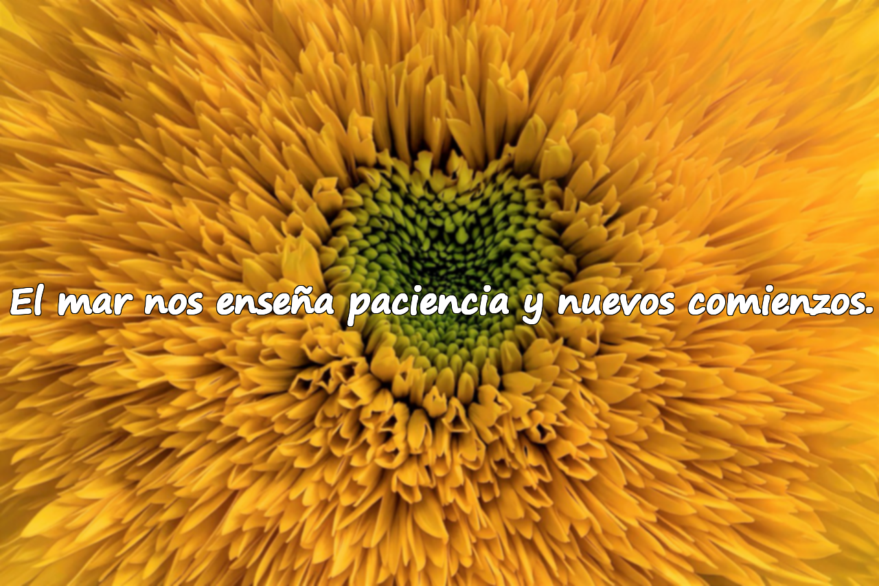 Frases sobre el mar